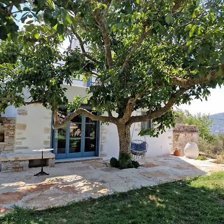 Pyrgos - Traditional House At Kaloxilos, Naxos * Khalkíon