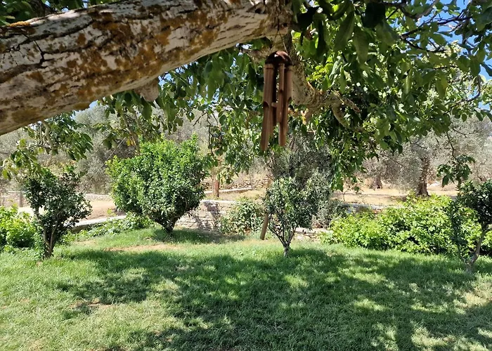 Pyrgos - Traditional House At Kaloxilos, Naxos Σπίτι διακοπών *